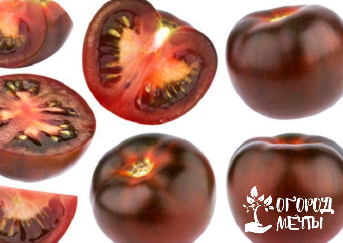Лучшие из лучших: топ-14 сортовых черных томатов