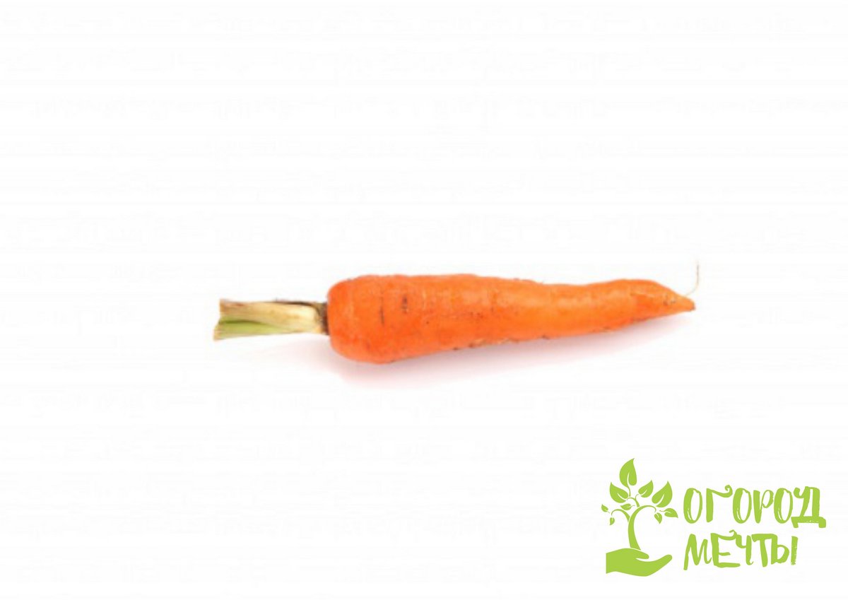 Чтобы не возиться с посевом мелкими морковными семенами, можно использовать специальные виды посевного материала
