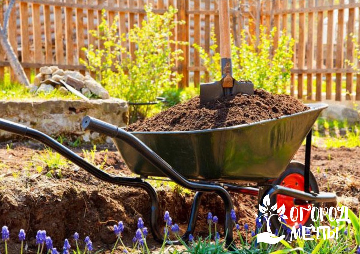 Чтобы сделать супер-удобрение для дачных растений, добавьте в компостную яму эти шесть компонентов!