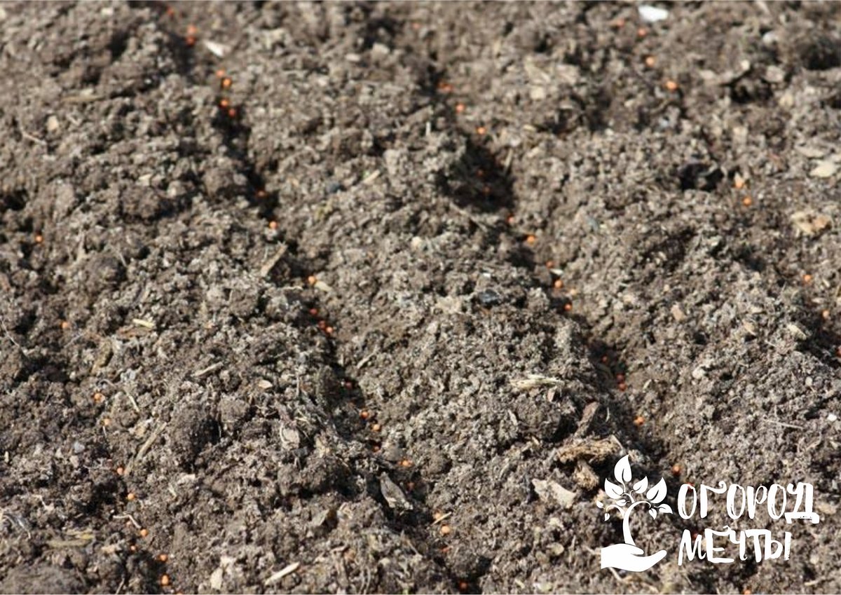Как определить истощение почвы 