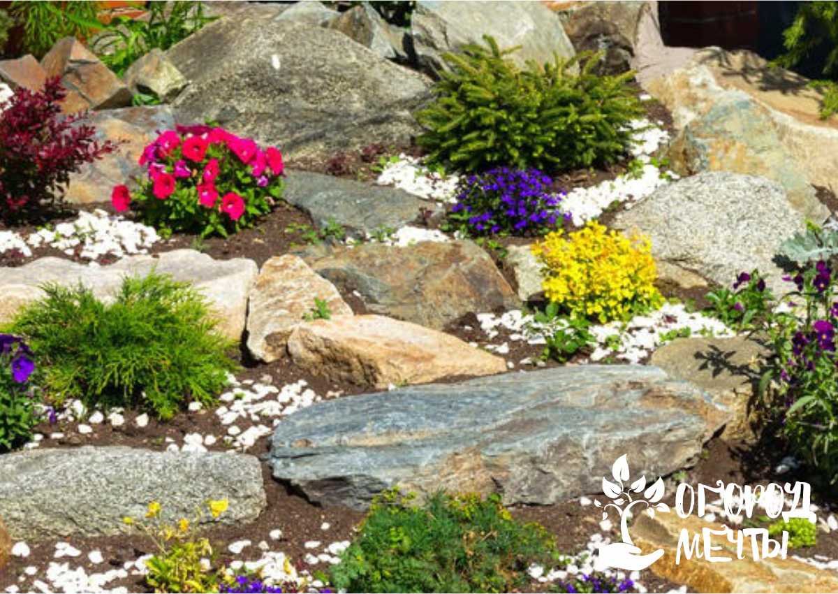 Ландшафтный дизайн участка: как создать цветущий рокарий – красивую каменную клумбу! 
