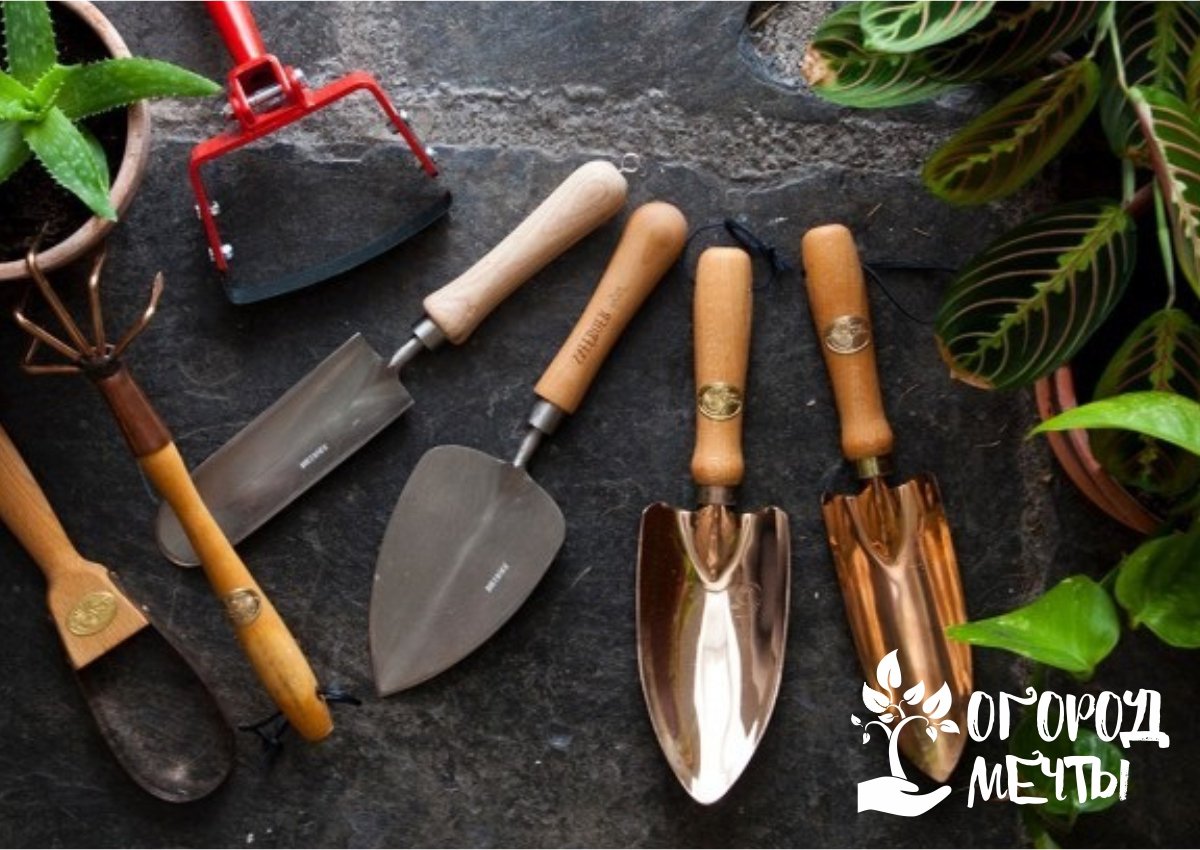 Чтобы садовые инструменты упростили работу дачника весной, нужно подготовить их новому сезону правильно! 